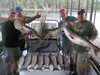 (08/22/2017) - Nice Striped Bass